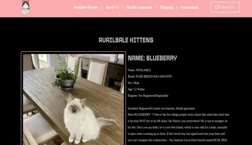 A screenshot of Genlanfamilystbernard.com