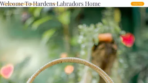 A screenshot of Hardenslabradorshome.com