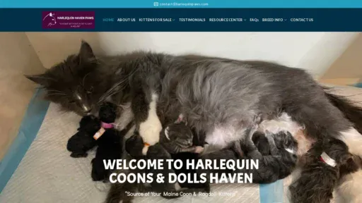 A screenshot of Harlequinpaws.com