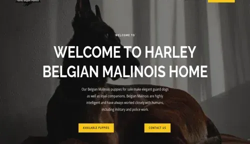 A screenshot of Genlanfamilystbernard.com