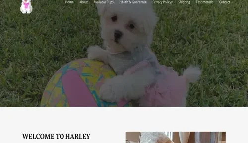 A screenshot of Genlanfamilystbernard.com