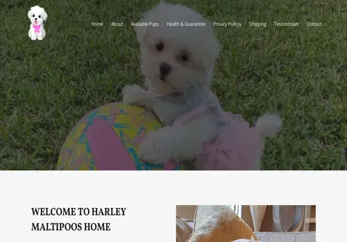 is harleymaltipoo.com legit? screenshot