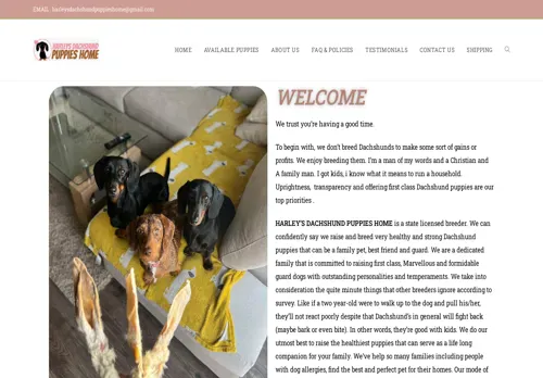 is harleysdachshundpuppieshome.com legit? screenshot