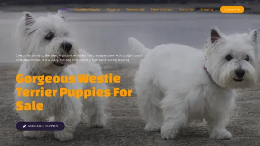 A screenshot of Harleywestiebabies.com