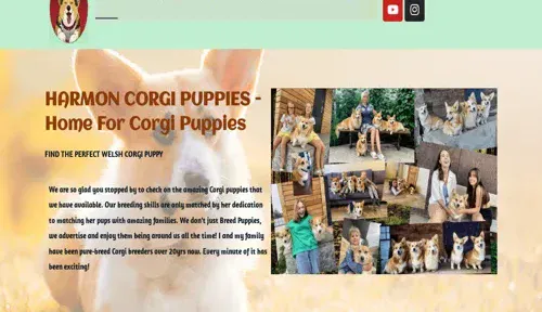 A screenshot of Genlanfamilystbernard.com