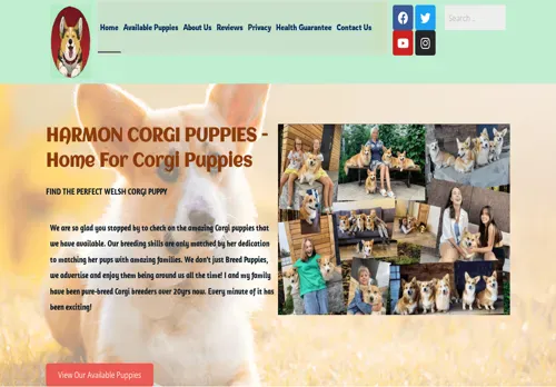 is harmancorgipuppies.com legit? screenshot