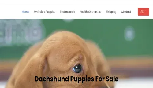 A screenshot of Genlanfamilystbernard.com