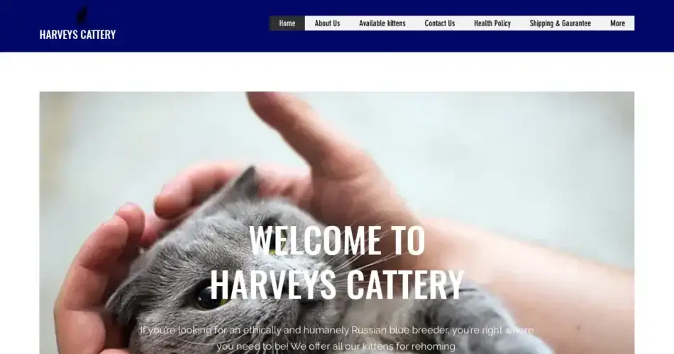 Is Harveyskittens.com legit?