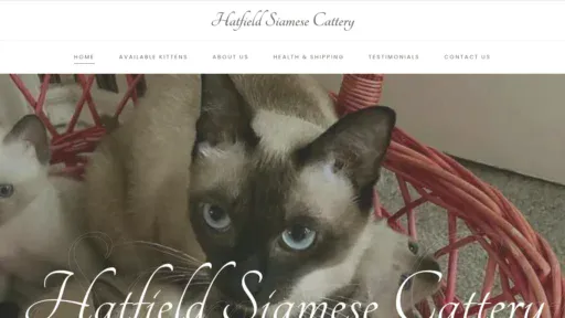 A screenshot of Hatfieldsiamesecattery.com