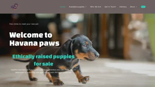 A screenshot of Havanadachspaws.com
