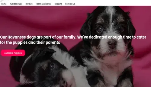 A screenshot of Genlanfamilystbernard.com