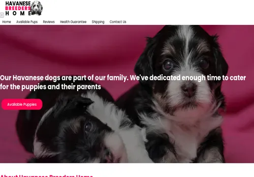 is havanesebreedershome.com legit? screenshot