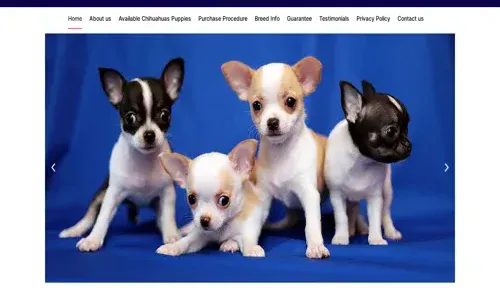 A screenshot of Genlanfamilystbernard.com