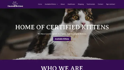 A screenshot of Havendrillkittens.com