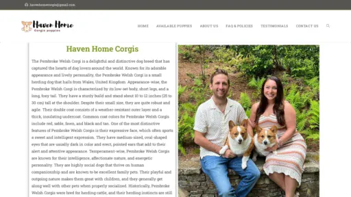 A screenshot of Havenhomecorgis.com