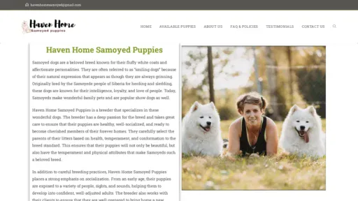 A screenshot of Havenhomesamoyedpuppies.com