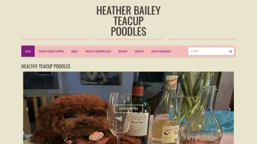 A screenshot of Hbteacuppoodles.com