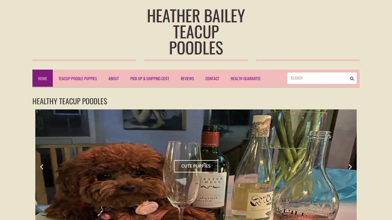 is hbteacuppoodles.com legit? screenshot