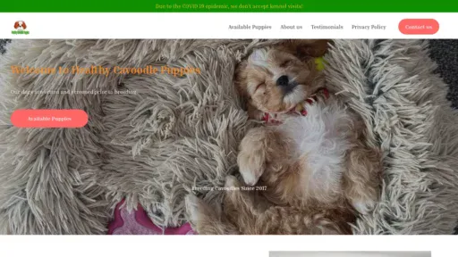 A screenshot of Healthy-cavoodlepuppies.com
