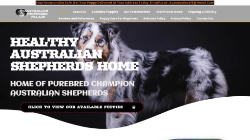A screenshot of Healthyaustralianshepherdshome.com
