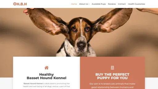 A screenshot of Healthybassethound.com
