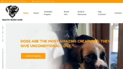 A screenshot of Healthyboxerhome.com