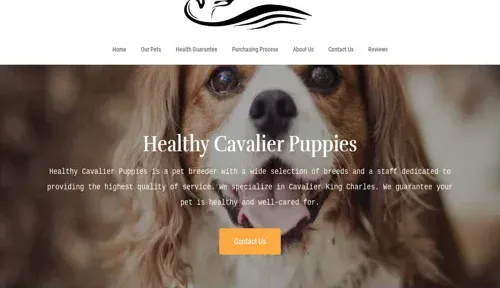 A screenshot of Genlanfamilystbernard.com