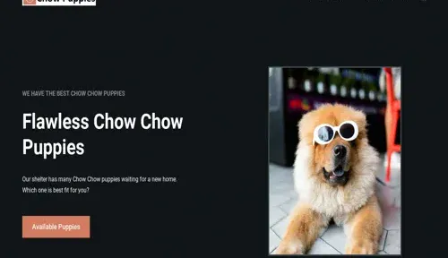A screenshot of Genlanfamilystbernard.com