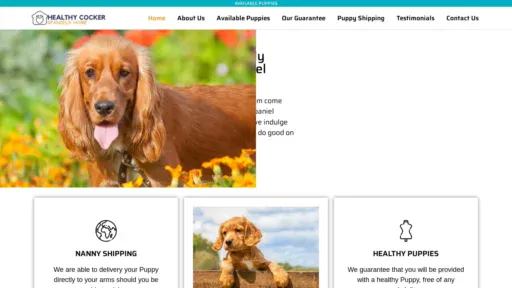 A screenshot of Healthycockerspanielshome.com