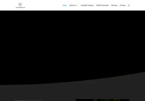 is healthyenglishbulldogshome.com legit? screenshot