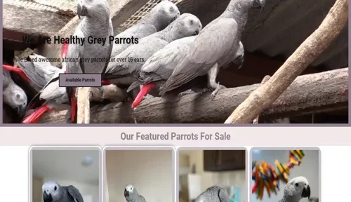 A screenshot of Genlanfamilystbernard.com
