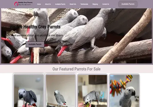 is healthygreyparrots.com legit? screenshot