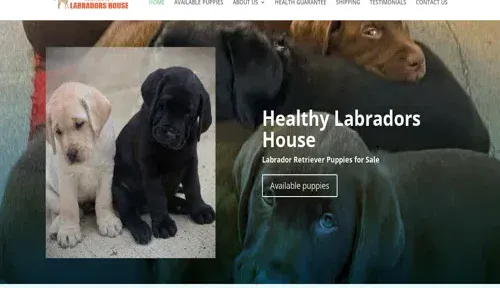 A screenshot of Genlanfamilystbernard.com