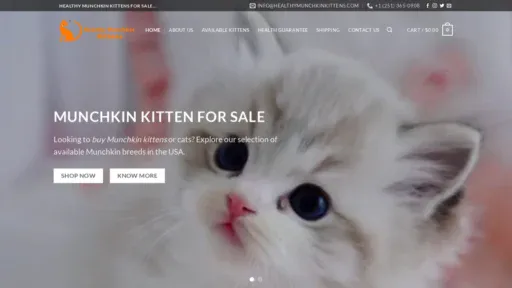A screenshot of Healthymunchkinkittens.com