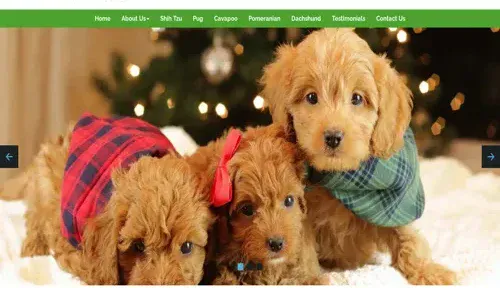 A screenshot of Genlanfamilystbernard.com