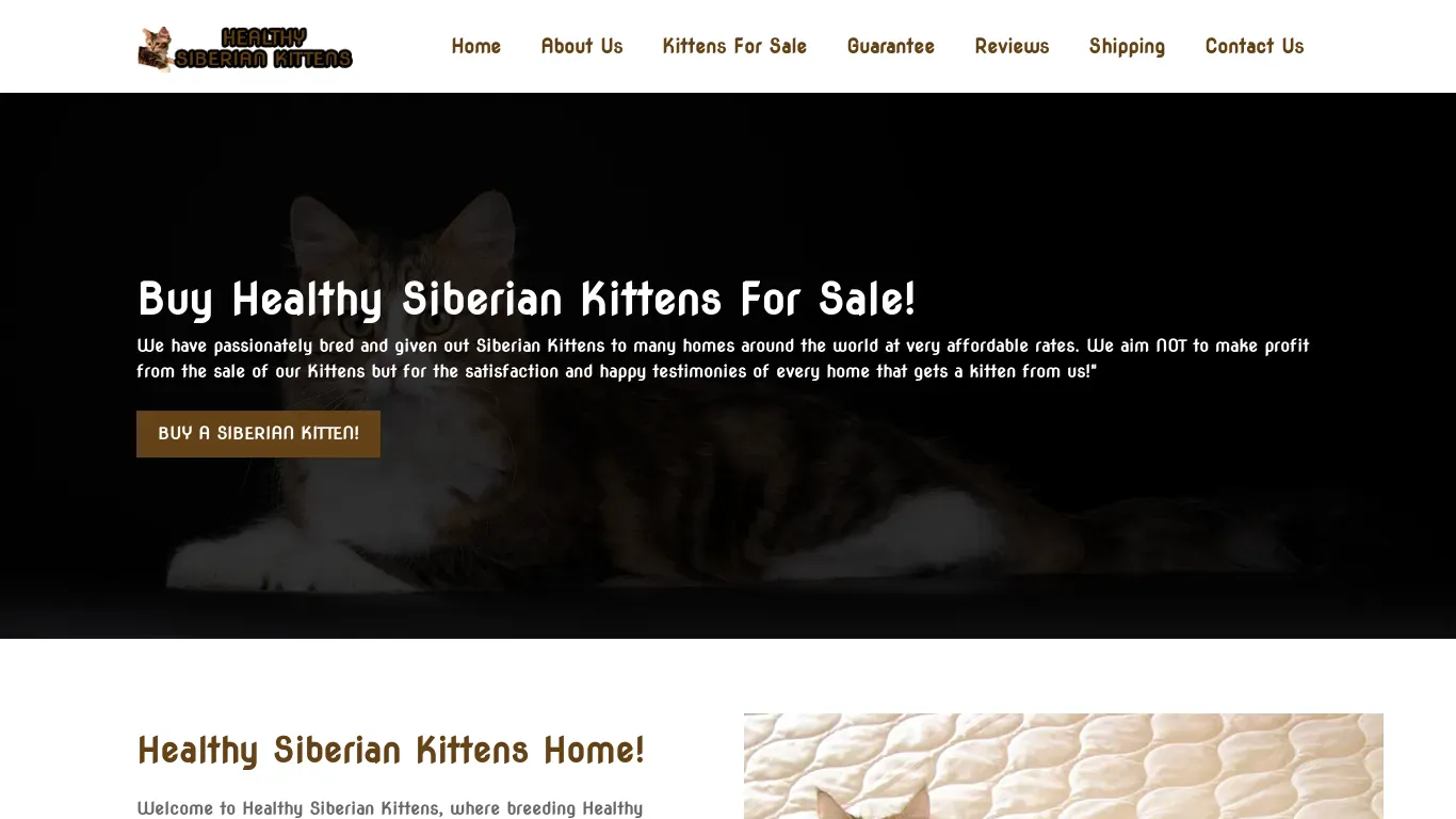 is healthysiberiankitten.com legit? screenshot