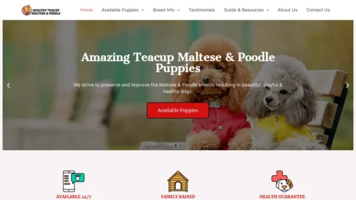 A screenshot of Healthyteacupmaltesepoodle.com