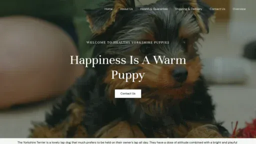 A screenshot of Healthyyorkshirepuppies.xyz