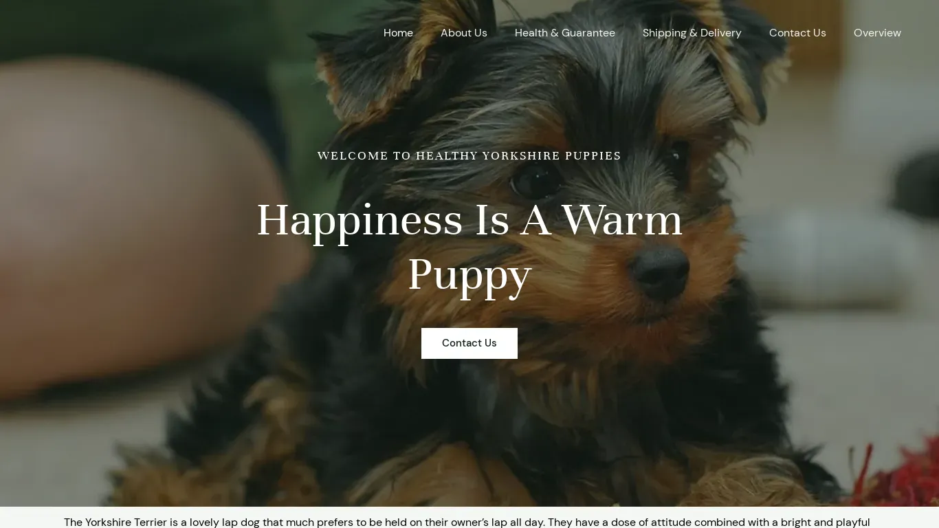 is healthyyorkshirepuppies.xyz legit? screenshot