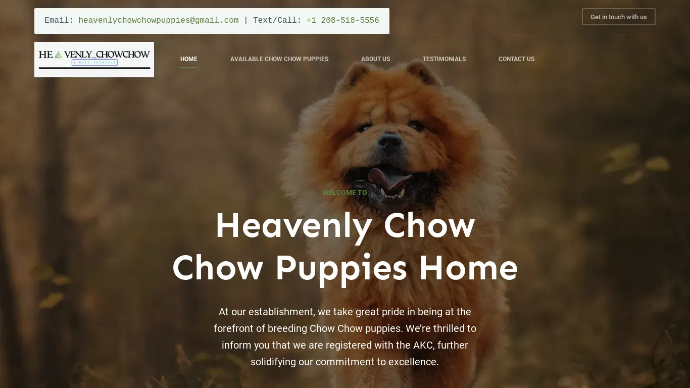 is heavenlychowchows.com legit? screenshot
