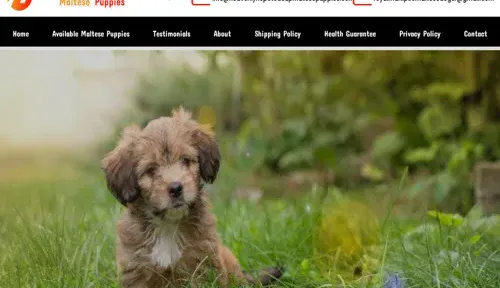 A screenshot of Genlanfamilystbernard.com