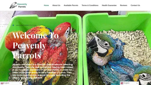 A screenshot of Heavenlyparrots.com