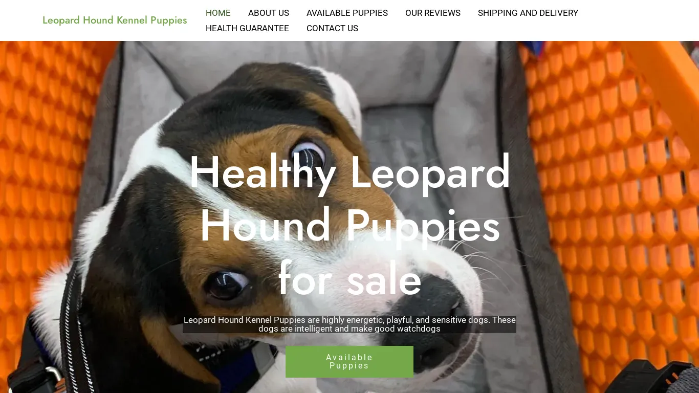 is heavenlystbernardpuppies.com legit? screenshot