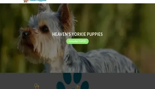 A screenshot of Genlanfamilystbernard.com
