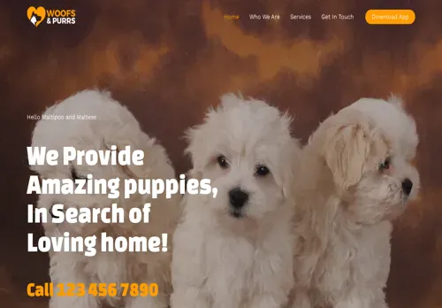 is hellomaltipoo.com legit? screenshot