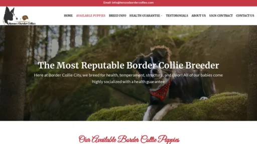 A screenshot of Henzosbordercollies.com