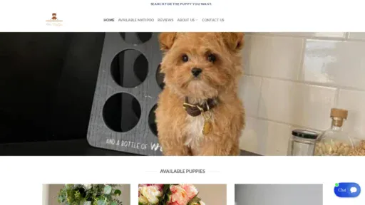 A screenshot of Hibasmaltipoo.org