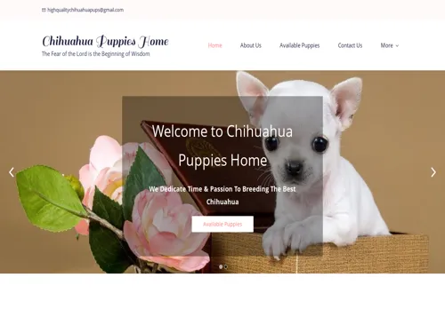is highqualitychihuahuahome.com legit? screenshot