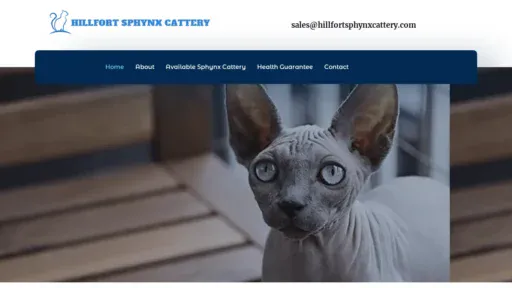A screenshot of Hillfortsphynxcattery.com
