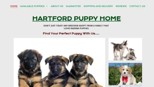 A screenshot of Hillfoxpuppies.com